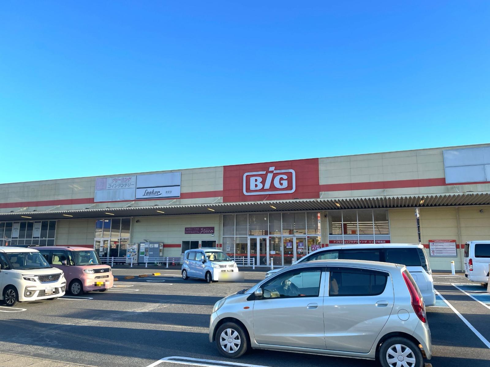 ザ・ビッグ周東店