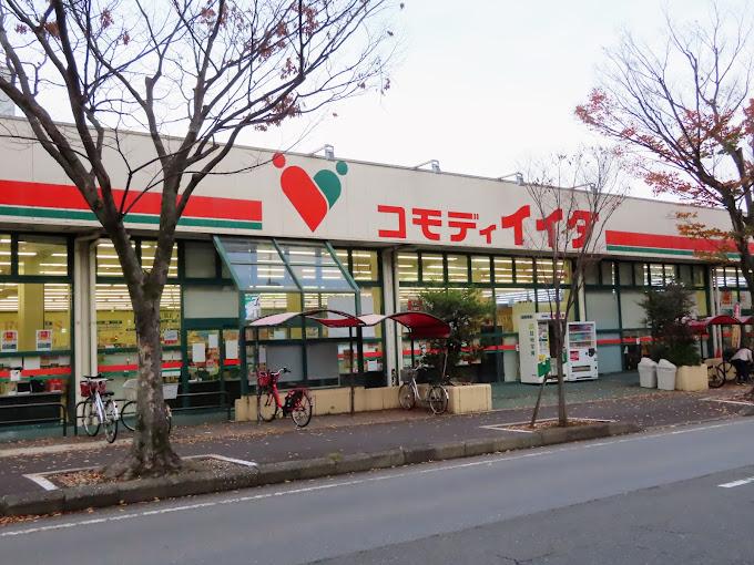 コモディイイダ新松戸