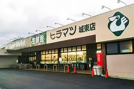 ヒラマツ城東店