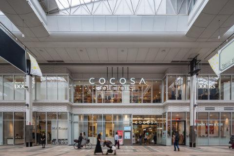 cocosa